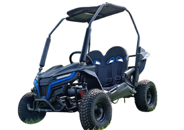 Preview: Buggy Ceetah Mini 163 ccm OHC 4 Takt Motor 2 Sitzer
